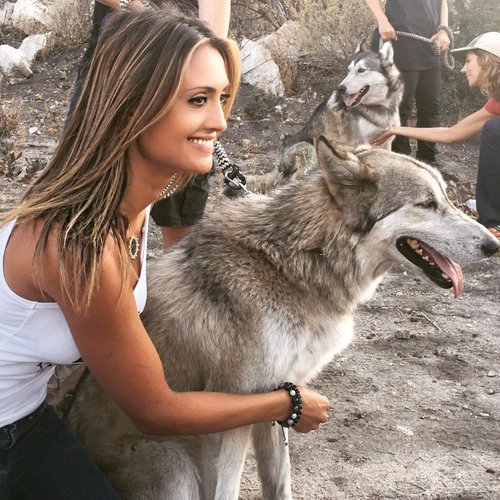 Katie Cleary Saving Dogs