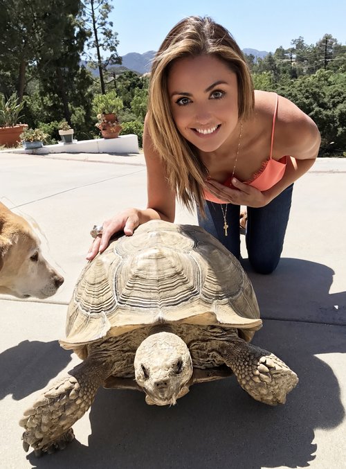 Katie Cleary Helping Turtle