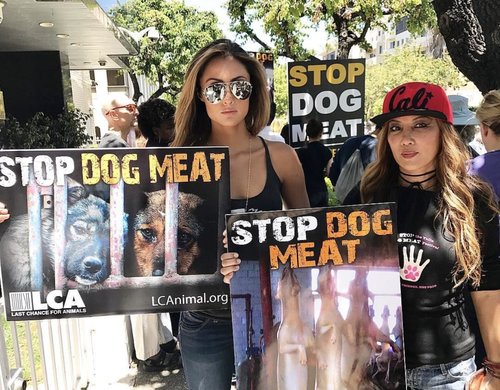 Katie Cleary Stop Dog Meat