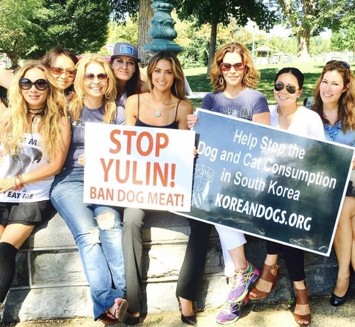 Katie Cleary Stop yulin