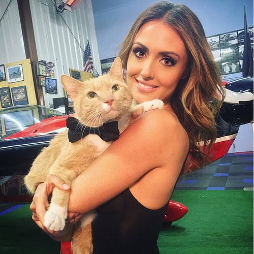 Katie Cleary Helping Cats