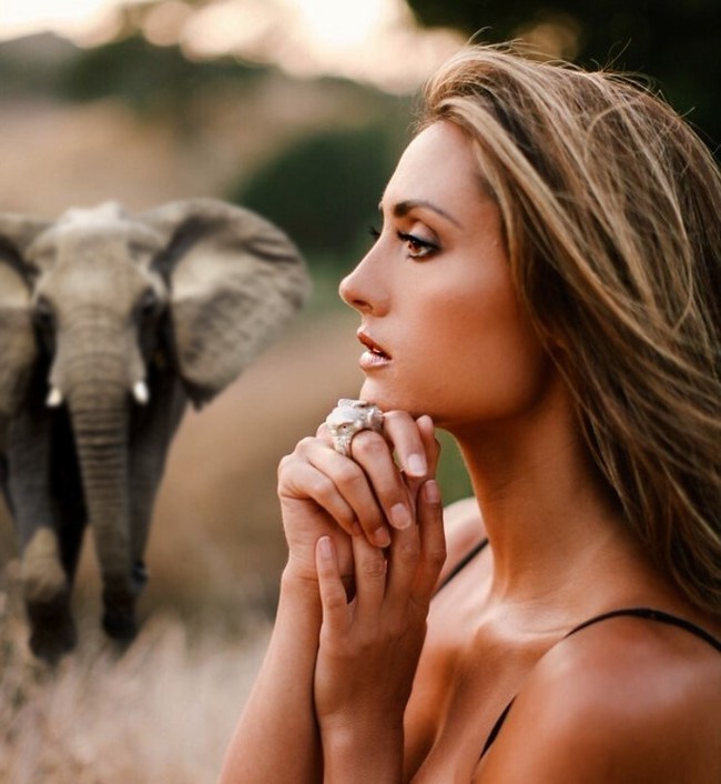 Katie Cleary Animal Rights