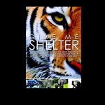 Give Me Shelter - Katie Cleary